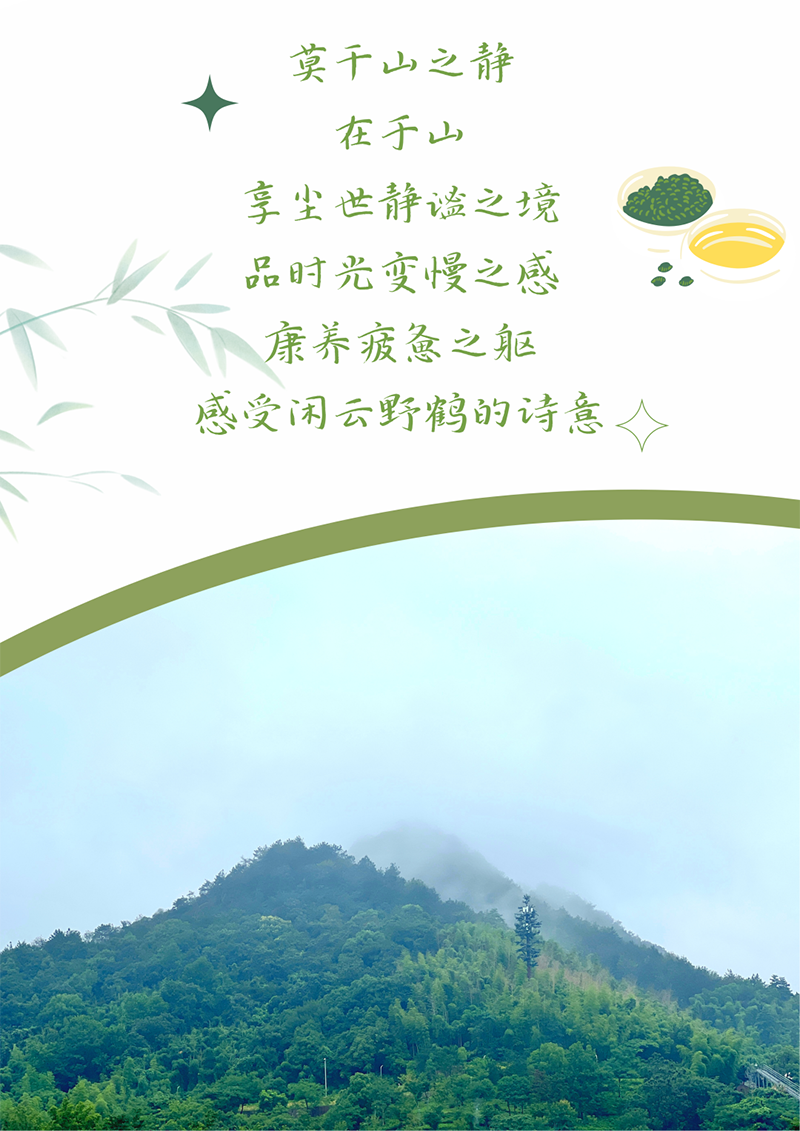 心心念廿 相伴豪门国际 | 与德清相约 贺廿载诞辰